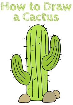 a green cactus with the words how to draw a cactus