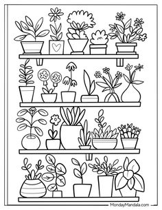 a shelf filled with potted plants and flowers