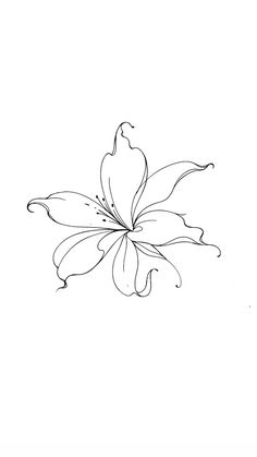 a black and white drawing of a flower