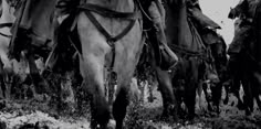 black and white photograph of men riding horses in the mud, with one man sitting on his horse's back