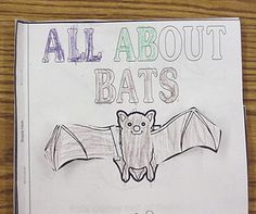 a coloring book with an image of a bat and the words all about bats on it