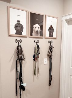 three pictures hang on the wall with hooks and leashes attached to them in a hallway