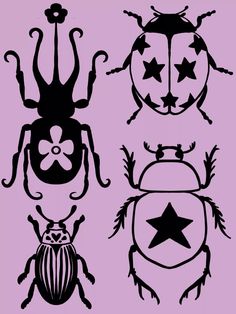 four black and white bugs with stars on them, one in the shape of a beetle