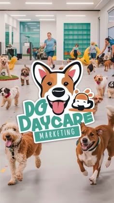a group of dogs walking around a building with the words dog day care marketing on it