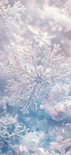 the snowflakes are all over the ground and it looks like they have been frozen