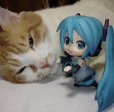 a cat laying on top of a bed next to a figurine and a doll