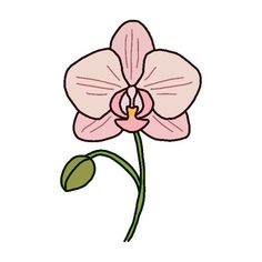 a pink flower with green leaves on the stem is shown in an outline drawing style