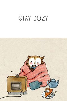 an animal wrapped in a blanket sitting next to a toaster and teapot on a table