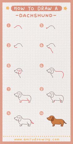 how to draw a dachshund step by step instructions for kids and adults