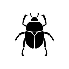 a black and white bug on a white background