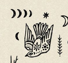 an ink drawing of a bird flying through the air with stars and moon in the background
