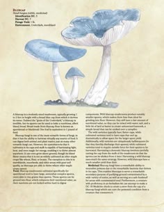 an image of two blue mushrooms on top of a page with text in the middle