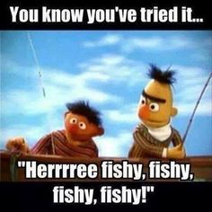 the muppets are fishing together with caption that reads, you know you've tried it