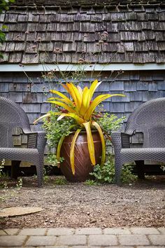 two chairs sitting next to each other in front of a building with a large potted plant