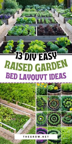 the garden is filled with lots of different types of plants and vegetables, including lettuce