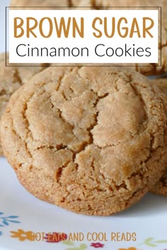 brown sugar cinnamon cookies on a plate with text overlay that reads, brown sugar cinnamon cookies