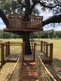 a tree house built into the side of a large oak tree in a grassy field