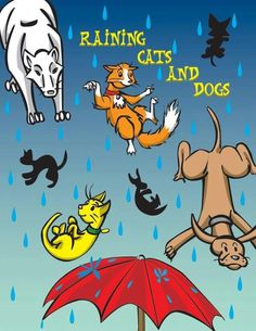 an image of dogs and cats playing in the rain with umbrellas on a rainy day