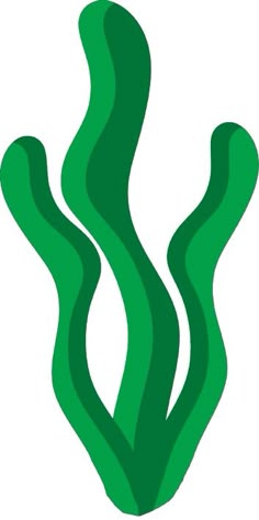 an image of green seaweed on white background