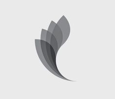 an abstract logo designed to look like a bird's wing, with grey and black lines