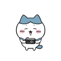 a cartoon cat with a camera in its hand and the caption says, i'm