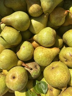 a pile of pears sitting on top of each other