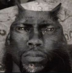 a black cat with horns on it's head is staring at the camera while sitting in a chair