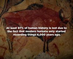 a cave painting with an interesting quote about human history