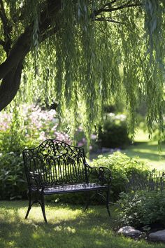 a bench under a tree in a park