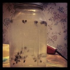 a glass jar filled with water sitting on top of a table next to a wallpaper