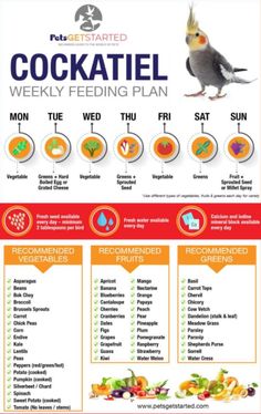 a menu with different types of food and drinks on the side, including cocktails