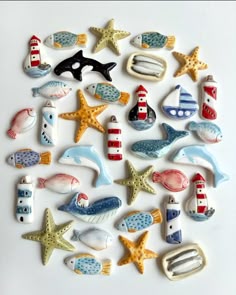 various sea animals and seashells are arranged on a white surface, including one starfish