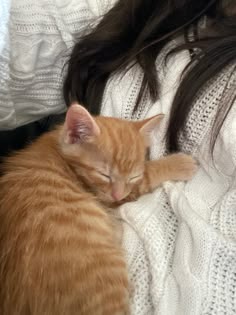 Aesthetic Gato, Isfj Vibes, Cats Lover, Aesthetic Cat Pictures, Cat Love Aesthetic, Cute Cat Aesthetic, Cat Inspo, Pet Cat Aesthetic, Angelica Aesthetic