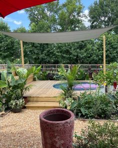 a large potted plant sitting on top of a gravel ground next to a wooden deck