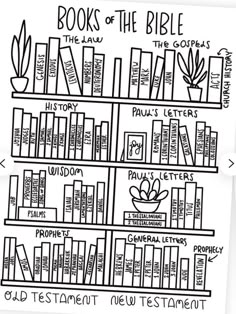 a book shelf with books on it and the words, books of the bible written in black ink