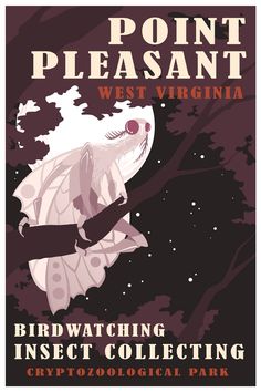 a poster with an image of a bird on it's back and the words, point pleasant west virginia