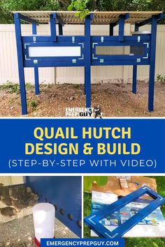 A vibrant outdoor image of a custom-built blue quail hutch alongside close-ups of quail inside the hutch and a water dispenser, providing a detailed overview of the design and construction process.