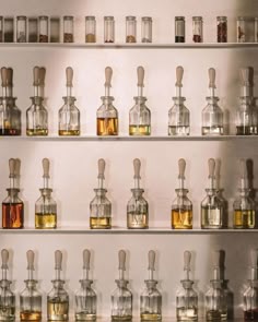 Which Zephyra scent captures your essence? From fresh, green notes to warm, woody undertones, discover the fragrance that tells your story. Discover your signature scent with our personalized fragrance guide. #FindyourScent #Zephyra Luxury Fragrance Store Inspiration, Elegant Fragrance Store Design, Modern Fragrance Store Interior, Scent Wall, Luxury Fragrance Retail Design, Luxury Fragrance Store Interior, Perfume Workshop Interior, High-end Fragrance Display, Perfumery Lab Aesthetic