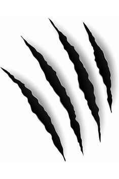 four black claws are shown in the shape of an animal's tail, on a white background