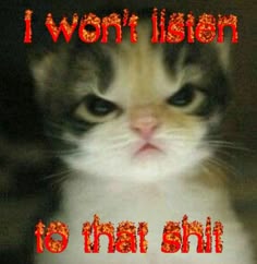 angry cat with the phrase "i won't listen to that shit" written