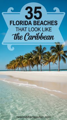 the beach with palm trees and blue sky in florida, usa text reads 35 florida beaches that look like the caribbean