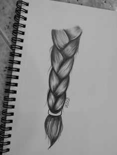 a pencil drawing of a long braid
