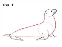 how to draw a sea lion step by step for kids and beginners with pictures
