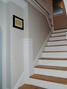 there is a dog that is sitting on the stairs in this house, looking up