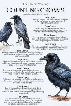 the four types of crows are shown in this poster