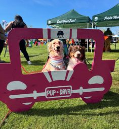 two dogs are sitting in a pink car shaped frame