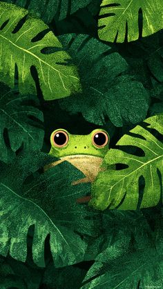Aesthetic frog phone background showing a frog peeking from behind stylized leaves in flat tropical pattern style.