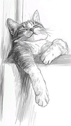 a black and white drawing of a cat sleeping on a window sill with its eyes closed