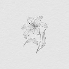 a drawing of a flower on white paper