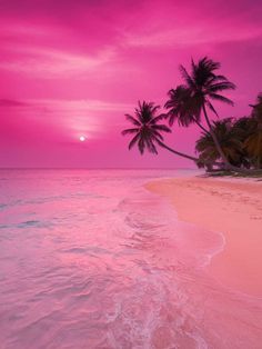 a pink sunset over the ocean with palm trees